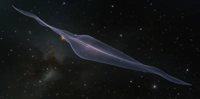 Illustration neutrino