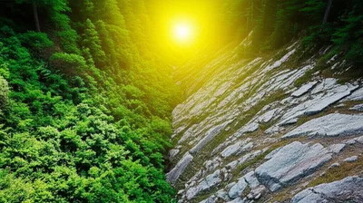 Illustration sheds - Image 1