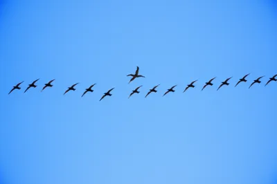 Illustration sex - Image 1