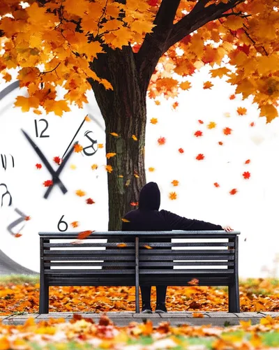 Illustration throws - Image 1