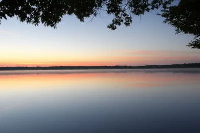 Illustration glassy - Image 1