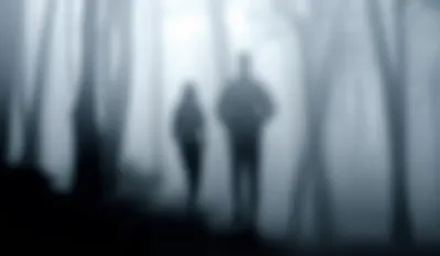 Illustration peered - Image 1