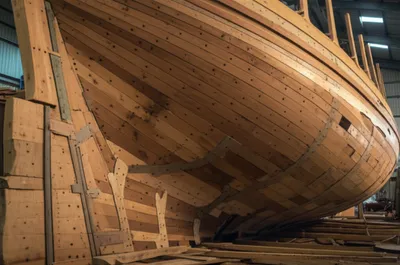 Illustration skin - Image 1