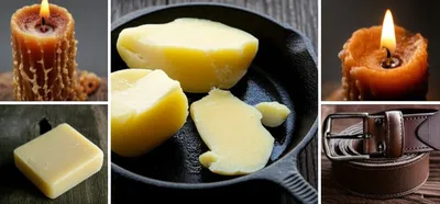 Illustration tallow - Image 1