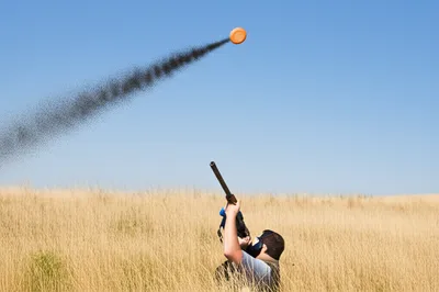 Illustration shotgun