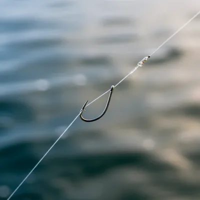 Illustration snell - Image 1