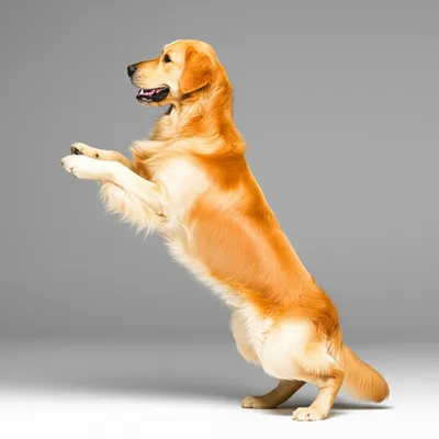 Illustration ramp - Image 1