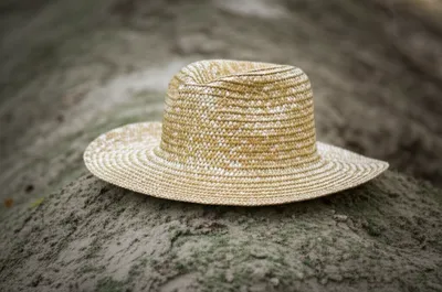 Illustration flat - Image 1