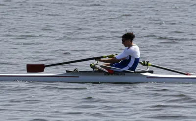 Illustration feathered - Image 1