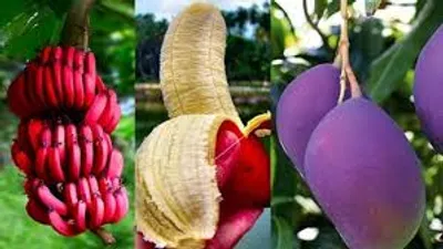 Illustration sport - Image 2