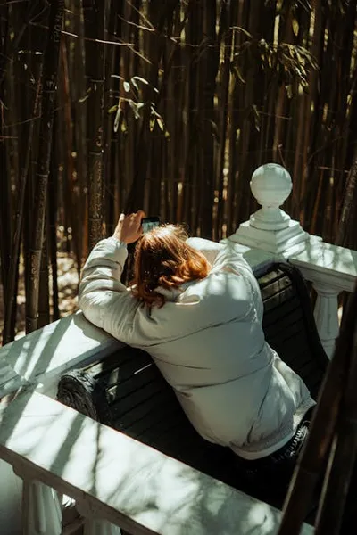 Illustration picturing - Image 2