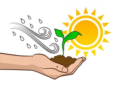 Illustration cared - Image 1