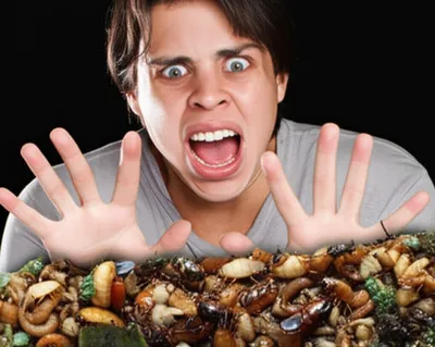 Hình ảnh minh họa abhorred