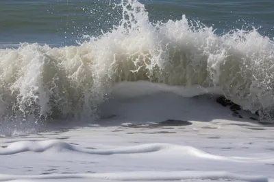 Illustration wash - Image 1