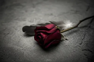 Illustration offed - Image 1