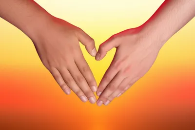 Hình ảnh minh họa monogamous - Ảnh 1