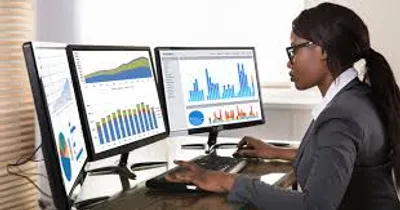 Illustration analyst - Image 2