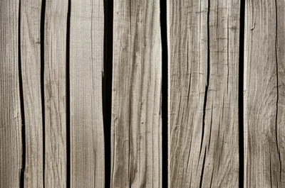 Illustration slatted - Image 1