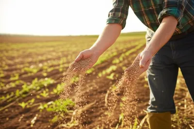 Illustration strewed - Image 1