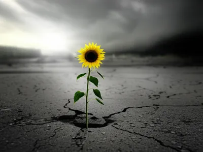 Illustration persists - Image 1