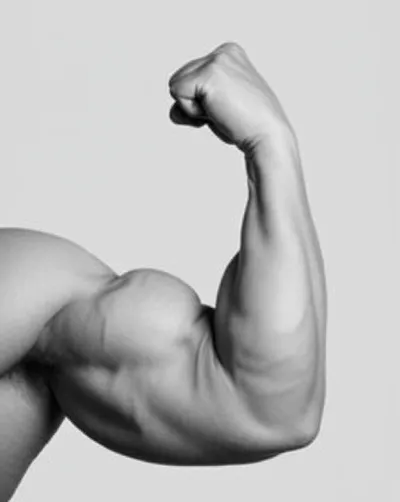 Illustration flexed - Image 1