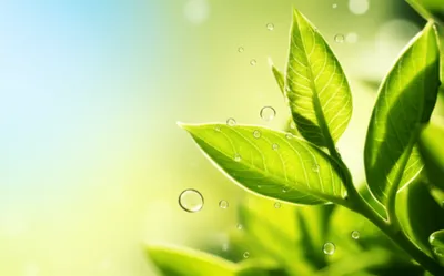 Illustration evolving - Image 1