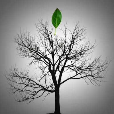 Illustration splayed - Image 1