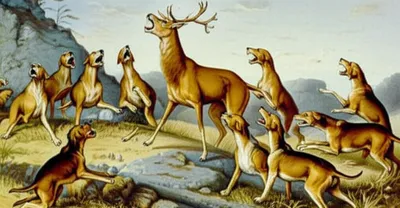 Illustration bayed - Image 1