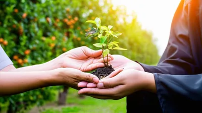 Illustration endow - Image 1