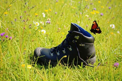 Illustration rested - Image 1