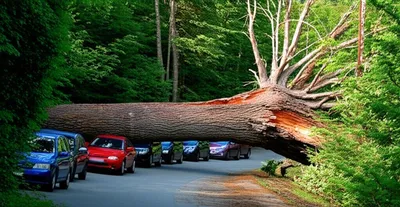 Illustration intervenes - Image 1