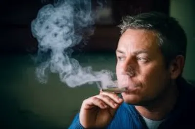 Illustration viper - Image 1