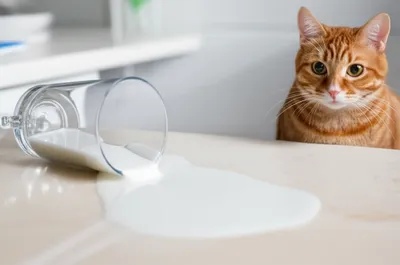 Illustration accidentally - Image 1