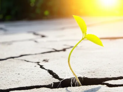 Illustration restart - Image 1