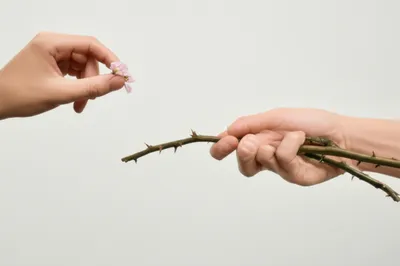 Illustration handed - Image 1