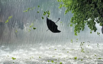 Illustration poured - Image 1