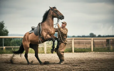 Illustration rough - Image 1