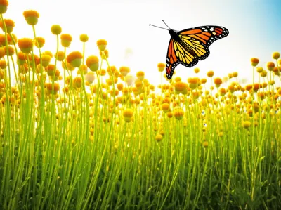 Illustration uplifting