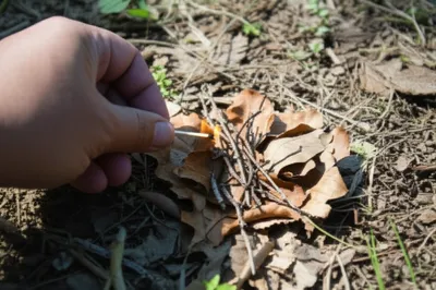 Illustration setting - Image 1