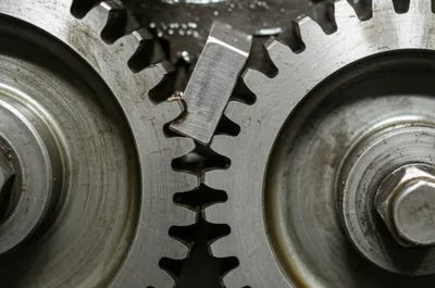 Illustration key - Image 1