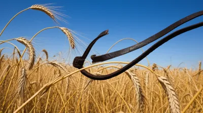 Illustration crops - Image 1