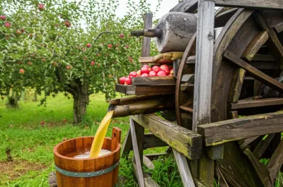 Illustration mill - Image 1