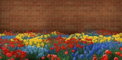 Illustration buts - Image 1