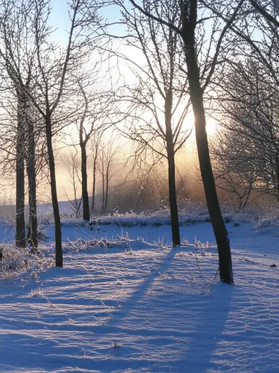 Illustration frosty - Image 1