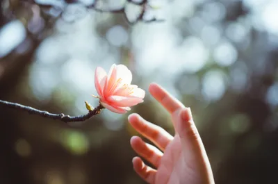 Illustration intuitive - Image 1