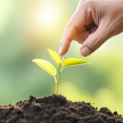 Illustration educational - Image 1