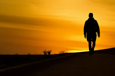 Illustration roves - Image 1