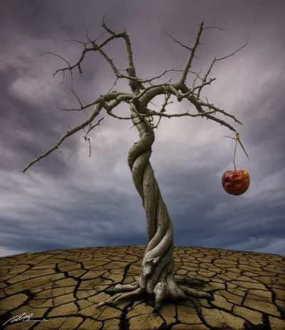 Illustration uglier - Image 1