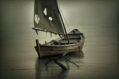 Illustration snagged - Image 1