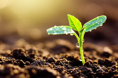 Illustration newer - Image 1